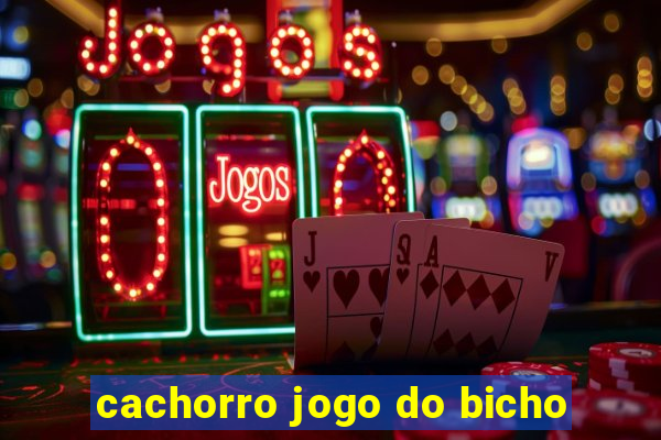 cachorro jogo do bicho